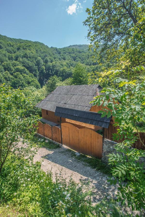 Садиба Над Потоком Lumshory Exteriér fotografie